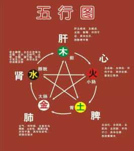 补肝肾脾胃肺的中成药 心、肝、脾、肺、肾的保养窍门