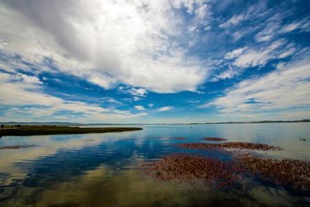 2017年世界湿地日主题 2017世界湿地日 2017年世界湿地日宣传资料大全