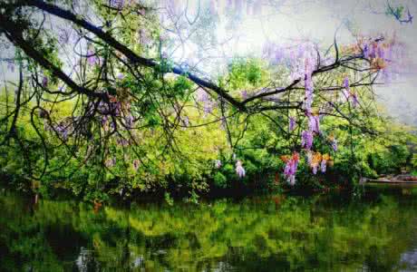 空灵唯美动漫意境插画 【唯美空灵】润物诵读:一隅清境