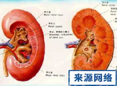 肾炎治疗费用多少 如何治疗肾炎 中医治肾炎效果好