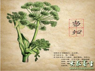 补气血的中药 教你6种补气血的中药！