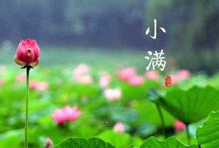 夏季自然水域钓鱼 【钓饵学堂】夏已过半,自然水域搏巨物,有求必应!