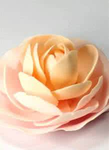 韩式裱花和翻糖的区别 专题 | 想用好吃的巧克力做出翻糖裱花的效果？没问题！就怕你不学~