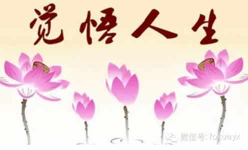 佛学净心语录 【佛学 - 心累了，就看看,6句話，看了6分鐘，想了一輩子！】