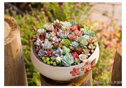 盆花浇水的原则 冬季给盆花浇水有“三忌”，掌握好就能安全过冬等春天！