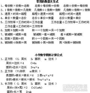 10小学六年级数学总复习资料【全-打印】