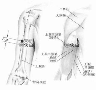 鼻炎会引起胸闷气短吗 咳嗽鼻炎胸闷，病根都是“气”不足。揉四大要穴，让你中气十足！