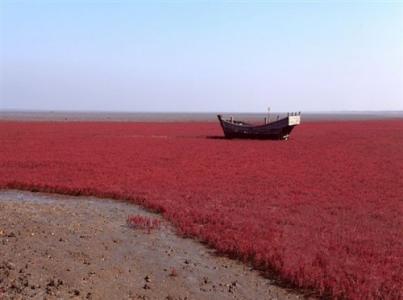 中国红海在哪里 红海