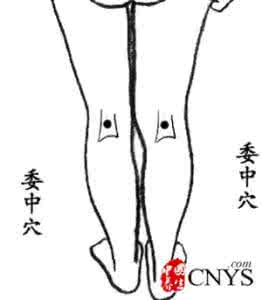 预防疾病手抄报 常按七大穴位 预防疾病延年益寿