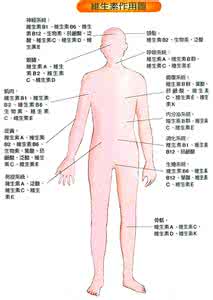 维生素c对人体的作用 维生素对人体具有什么作用