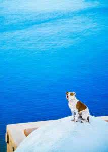 每个女人 希腊：每个女人都应该有的一次浪漫之旅