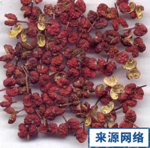 花椒水洗外阴多久见效 花椒断乳6小时见效