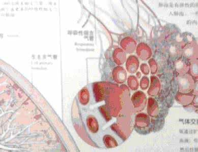 四要素自动气象站 转载 人体健康四要素之一：气要充——推肺气法