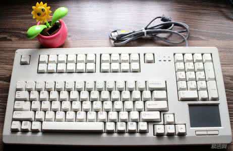 樱桃机械键盘怎么清洗 樱桃键盘清洗 樱桃有虫怎么办?不同水果的清洗方法