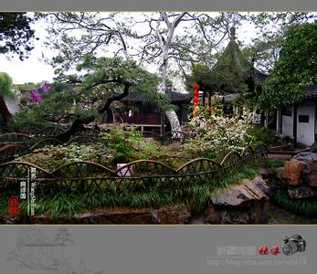 网师园看松读画轩 姑苏风光 - 网师园 - 看松读画轩（11）