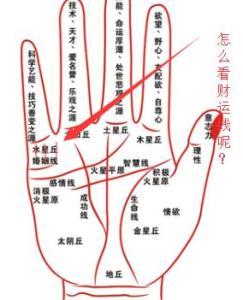 手相怎么看姻缘 手相怎么看财运 女人手相姻缘怎么看 从哪些地方看出来？