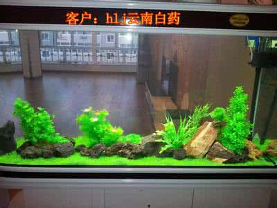 水草种植与水族箱造景 水族箱水草造景 【鱼缸】鱼缸水族箱水草造景用材料工具