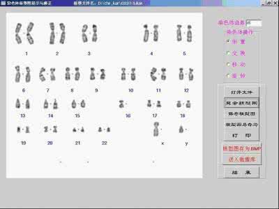 染色体显带技术 染色体是什么 染色体分组与显带技术