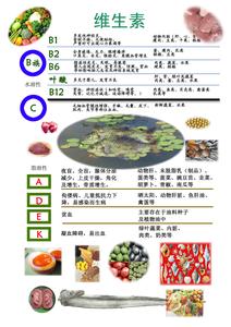 维生素b1缺乏性心脏病 维生素D新发现：对癌症、心脏病与免疫支持的作用