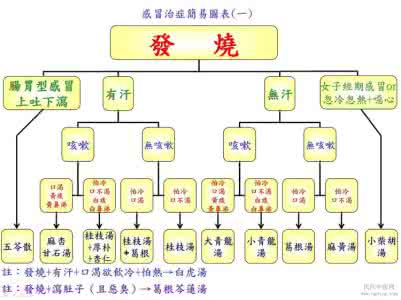 中医感冒分型治疗方法 引用 感冒分型的中药治疗方法