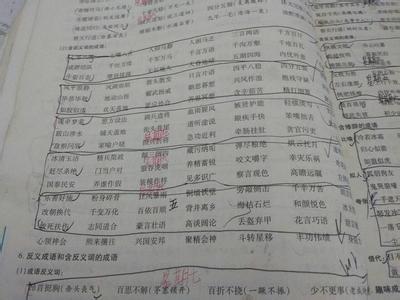 活力 四字词语 活什么刚什么四字词语？