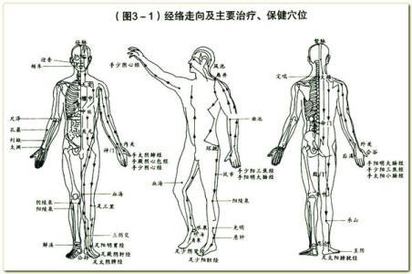 萧宏慈拉筋拍打自愈法 萧宏慈：紐約散記   拍打拉筋自愈法