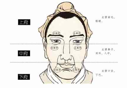 老虎控台教程 (3)老虎教你看面相