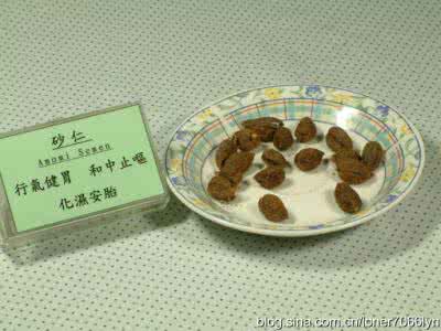 去湿气的食物 去湿食物一览