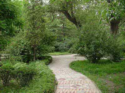 棒针编织风车花套头衫 棒针编织----一字领套衫“曲径通幽”