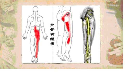 周版易筋经 现代版易筋经