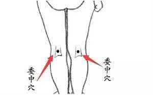 人体从上到下的穴位精华，艾灸人士必知