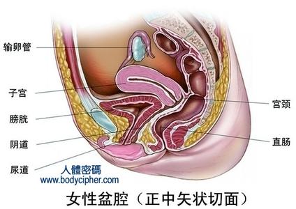 盆腔炎后果严重吗 盆腔炎严重吗?有哪些害处?