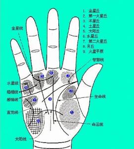 拍照自动看手相 教你看手相【图文】