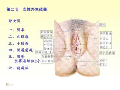 女性房事阴道出血是什么情况