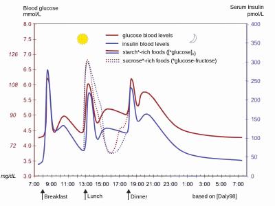 糖尿病血糖高打胰岛素 血糖和胰岛素是怎么回事？｜话说糖尿病（一）