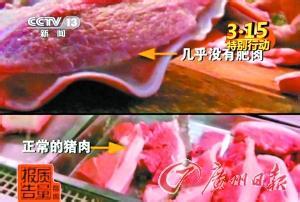 鱼皮鱼肉分离机 皮肉分离多为健美猪