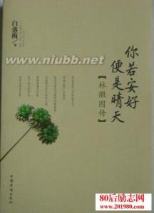 你若安好便是晴天 《林徽因传》读后感：你若安好，便是晴天