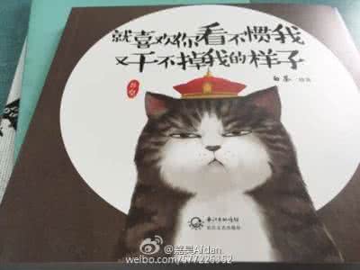 你的妈妈不在朋友圈 真正的交往,不在朋友圈