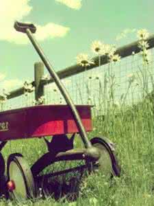 测试心理是否有疾病 心灵的春天：常见心理疾病与预防