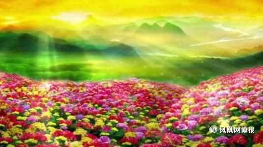 山林子自然智慧诗 回归吧 人生诗意 --- 山林子 慧商 自然智慧诗