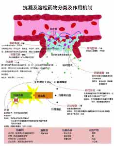 抗凝药物作用机制 图解：抗凝及溶栓药物分类及作用机制