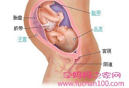 怀孕32周胎儿发育情况 怀孕32周胎儿发育情况 怀孕32周胎儿发育情况有哪些