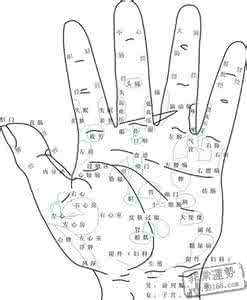 断手纹手相算命图解 手相有个三角形手纹 手纹观相,从手相手纹看你属于哪种发财命
