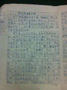 期中考试的总结作文 期中考试的总结作文200字