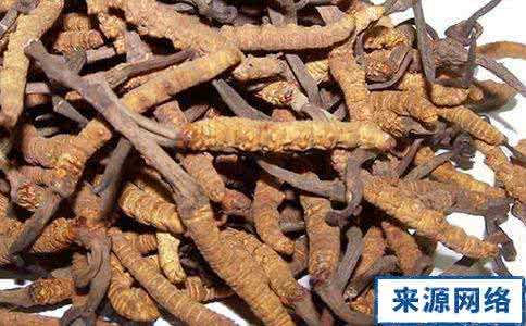 滋阴补肾的中药材 肾虚症状 肾虚补肾的中药材