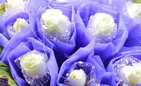 音画欣赏 心灵之约  牡丹仙子【音画欣赏】