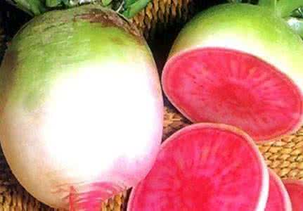 心里美萝卜 心里美萝卜 美人入心心里美