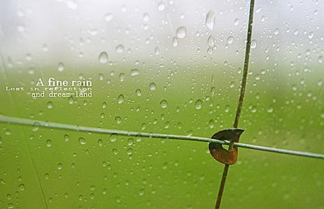 雨景拍摄技巧 到雨天了，应该怎么拍摄美丽的雨景呢？直接套用这些办法吧