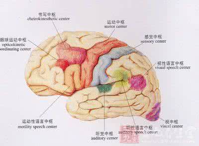 脑萎缩最佳治疗方法 脑萎缩最佳治疗方法 脑萎缩的四大症状