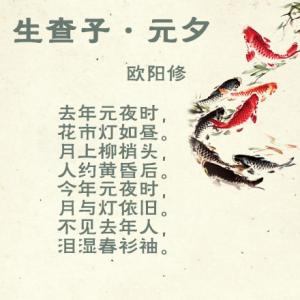 中国诗词大会飞花令 飞花令·十六首至美元宵诗词